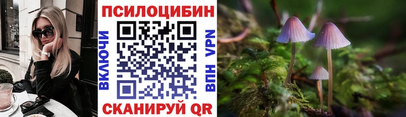 Купить где  Сосновоборск  Псилоцибиновые грибы прущие грибы 